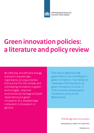 Green innovation policies: a literature and policy review