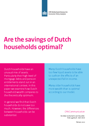 Are the savings of Dutch households optimal?
