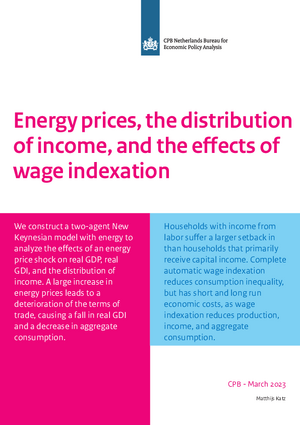 Energy prices, the distribution of income, and the effects of wage indexation
