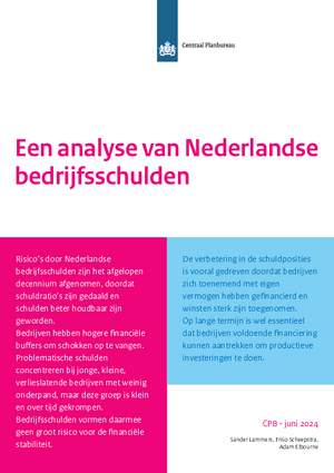 Een analyse van Nederlandse bedrijfsschulden