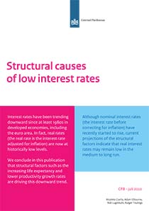 Structurele oorzaken lage rente